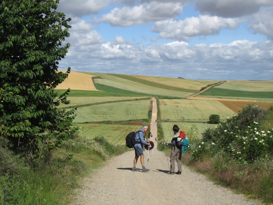 “I Would Walk 500 Miles” – Follow My Journey Along The Camino De ...